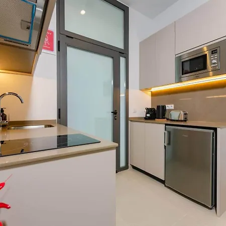 Centrico Loft Con Terraza. 3 Apartment *